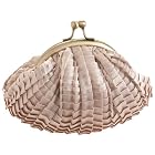 Jessica McClintock Pleated Frame Clutch