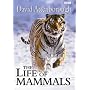 The Life of Mammals