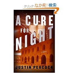 A Cure for Night: A Novel