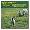 Pet Sounds ����i����\�Ձj