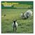 The String Quartet Tribute to the Beach Boys' Pet Sounds