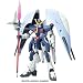 1/144 HG �A�r�X�K���_��