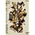 �V�ۏ\��N�̃V�F�C�N�X�s�A [DVD]