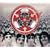 A Beautiful Lie