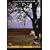 �����X�e�b�v�E�t�F�X�e�B�o��1974 [DVD]