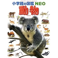 ���� (���w�ق̐}��NEO (1))