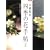 �l�G�̉Ԏ蒟 (2) (�ʍ����z)
