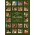 �؍��X�^�[�o���G�e�B ��S���� BOX 2 [DVD]
