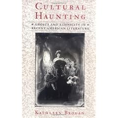 Cultural Haunting: Ghosts and Ethnicity in Recent American Literature