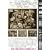 ���̌ǎ� <�S����> [DVD]