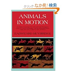 Animals in Motion