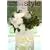 FLORAL NEW YORK Style�\�G�u���f�B�v���U�[�u�h�t�����[