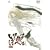 �����@�֐� ����͂ɂقւ� ���̔� [DVD]