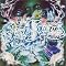 Japanese Hip hop Classics�@(���{�ꃉ�b�v ����)�@