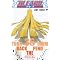 BLEACH�\�u���[�`�\�@�i���j