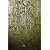 �w�鐏�̎��l�x�A�J�h�N��/�A�I�h�N�� (K.Nakashima Selection)