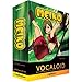 Vocaloid Meiko
