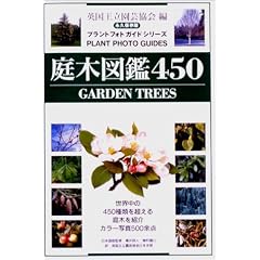 ��ؐ}��450 (�v�����g�t�H�g�K�C�h�V���[�Y)
