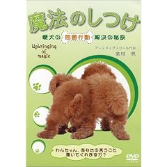 ���@�̂��� �����̖��s�������̔錍 [DVD]