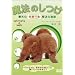 ���@�̂��� �����̖��s�������̔錍 [DVD]