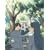 ���� ��5�� [DVD]