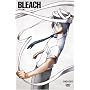 BLEACH �o�E���g�� 3 [DVD]