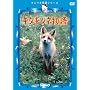 �L�^�L�c�l���� [DVD]