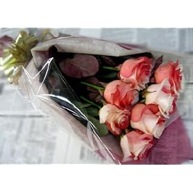 �g���̃o���EJAPAN�@�v�`�u�[�P