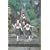 ���݂���! 5 [DVD]