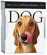 Dog Gallery 2010 Calendar