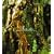 SUNDALAND~plants compilation