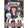 BLEACH DS 2nd ���߂Ђ�߂������̙��a�������� (V�W�����v�u�b�N�X)