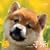 2010�q��[���](Yama-Kei Calendar)