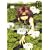 �ŗV�L�O�` (01) (ZERO-SUM COMICS)