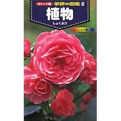 �|�P�b�g�� �w���̐}�Ӂq2�r�A�� (�w���̐}�� (2))