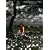 ����̃��C��IV CLASSICS+Film of MISIA in KIBERA SLUM [���Ԍ���o�ה�DVD]