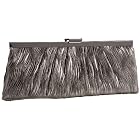 Jessica McClintock New Leaf Pleated Frame Clutch