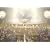 KING OF STAGE Vol.7~���C�h�C���W���p�� at ���{������~ [DVD]