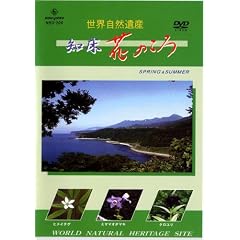 ���E���R��Y �m�� �Ԃ̂��� [SPRING & SUMMER] [DVD]