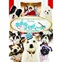 �z�e���E�o�f�B�[�Y ���������~�o���� �X�y�V�����E�G�f�B�V���� [DVD]