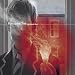 porcupine tree