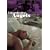 �͂��炢 ~�w�A���C����~ [DVD]