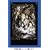 �g���j�e�B�E�u���b�h chapter.3 �R���N�^�[�Y�G�f�B�V���� [DVD]