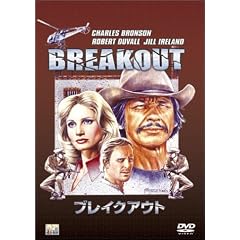 �u���C�N�A�E�g [DVD]