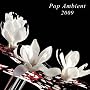 Pop Ambient 2009 [12 inch Analog]