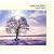 ZARD BLEND II ~LEAF & SNOW~