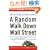 Random Walk Down Wall Street: The Time-Tested Strategy for Successful Investing