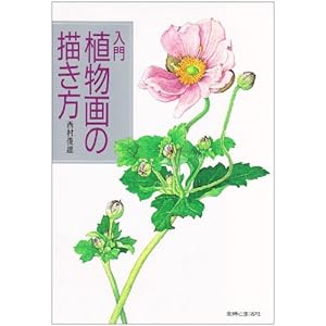 ���� �A����̕`����