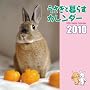 �������ƕ�炷�J�����_�[ 2010