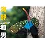 �f�W�^���J�����ŎB��C��a�j�����ʐ^ -wild insects-